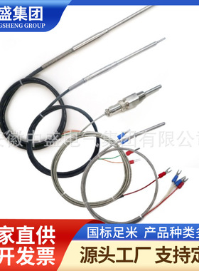 双支端面热电阻WZPM2-001压片式直径6*20mm 长10m