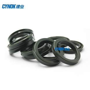 USI型活塞和活塞杆两用密封件,USI 89*104*9,FU2372S0,U593