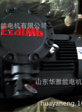 高转差率YH-315L1-2-185KWCZ机壳YSF电机整机及端盖风罩风叶接线