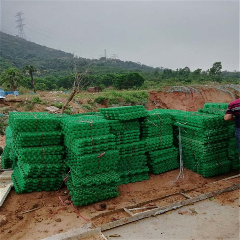 屋顶阳台绿化植草格HDPE草坪格生态停车场用植草格园林绿化植草格