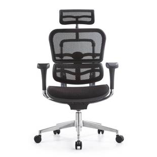 全网透气人体工学椅子家用工程学电竞座椅升降椅电脑椅办公转椅