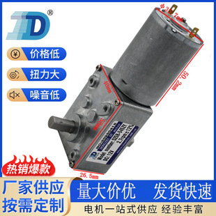 减速电机 共享咖啡机 厂家直销DZ58 545S双出轴涡轮蜗杆直流马达