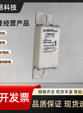 170M1848 170M1849 170M1850 170M1851 170M1852 170M1853熔断器