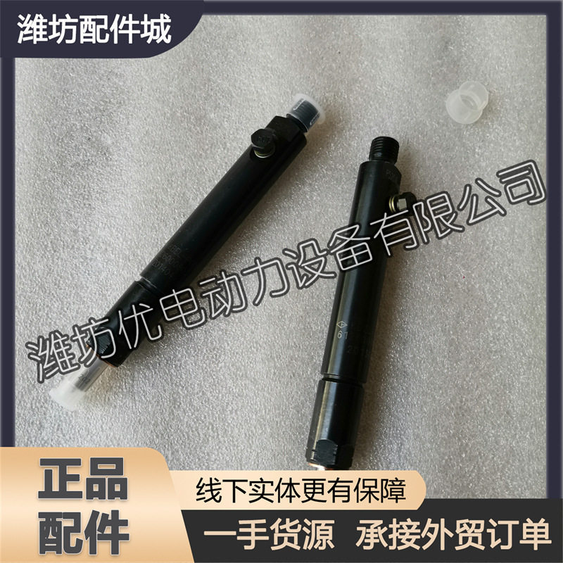 喷油器总成油头13034216油嘴适用于226B潍柴WP4道依茨WP6柴油发动