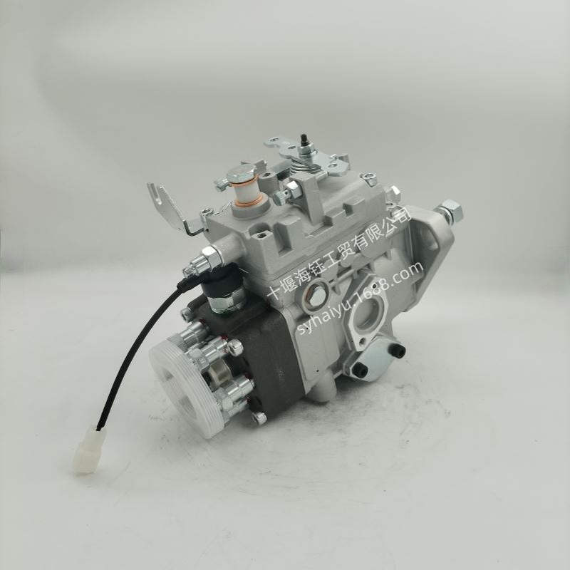 燃油泵104662-4001 发动机VE泵VE6／12F1075RNP169 6734711231