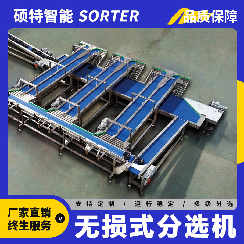 托盘式无损分选设备 芭乐呵护式多级分选机 草莓凤梨称重分拣机