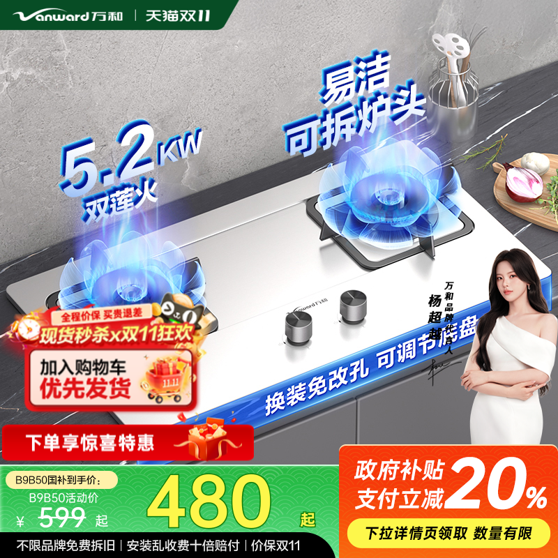 天然气双灶嵌入式燃气灶