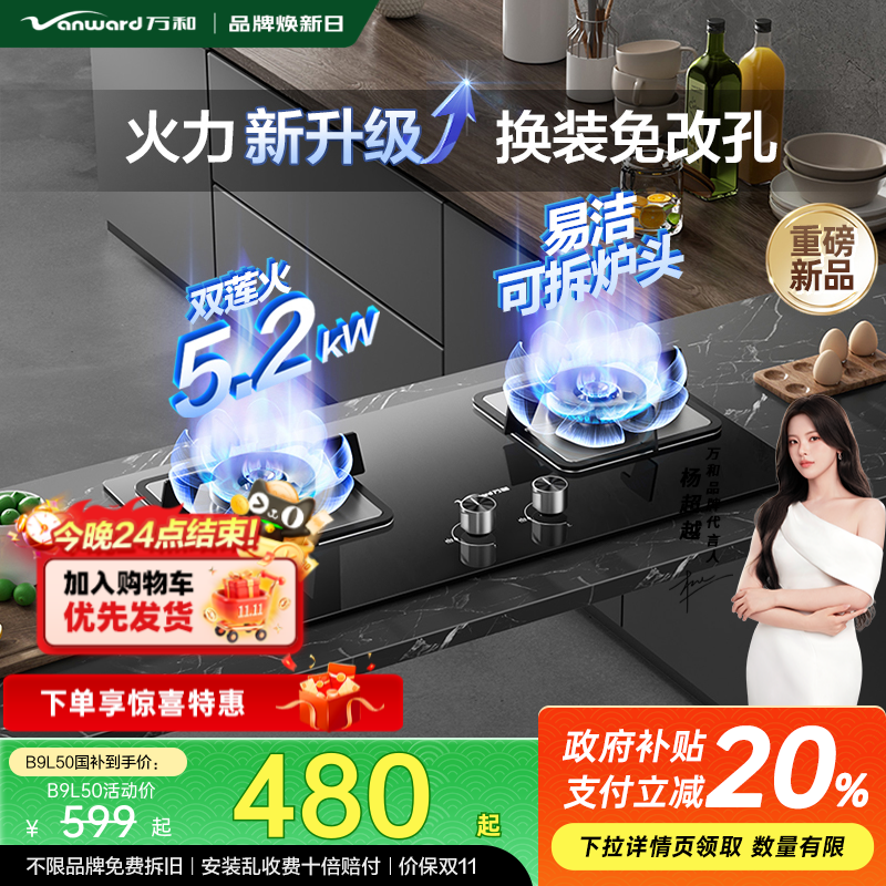 万和天然气燃气灶家用双灶嵌入台式液化气煤气灶B9L