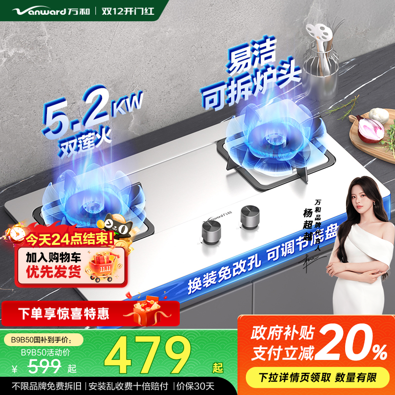 天然气双灶嵌入式燃气灶