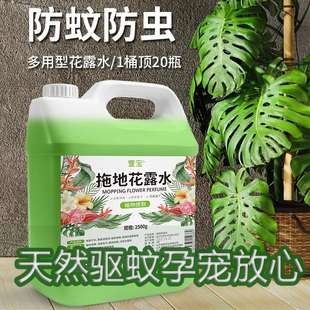驱蚊拖地液浓缩型地板清洁剂植物成分安全孕宠家庭可用大容量家用
