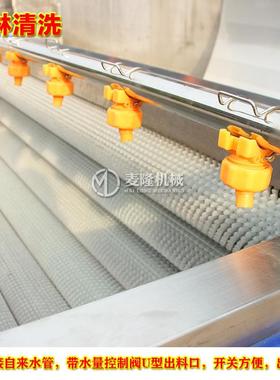 土ZHC豆辊去清洗机机毛毛刷清洗设备皮全自动芋头红薯地瓜去泥清