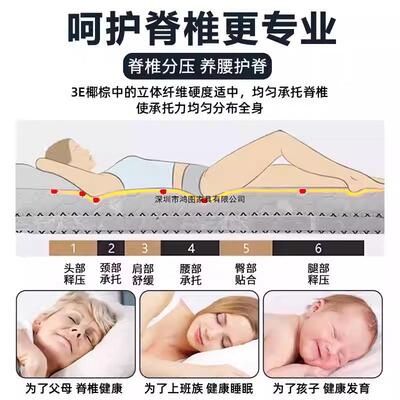 棕环保腰床垫经济型家用护棕垫护脊58083童床垫儿棕垫加厚偏硬铺