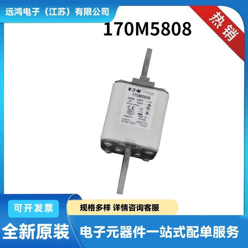 170M8646 170M8650 170H0235 170H0236原厂陶瓷熔断器 保险丝