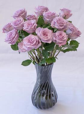 基玫瑰鲜花云南地直发切花VWH真花玫瑰套搭鲜配家庭水餐养懒人插