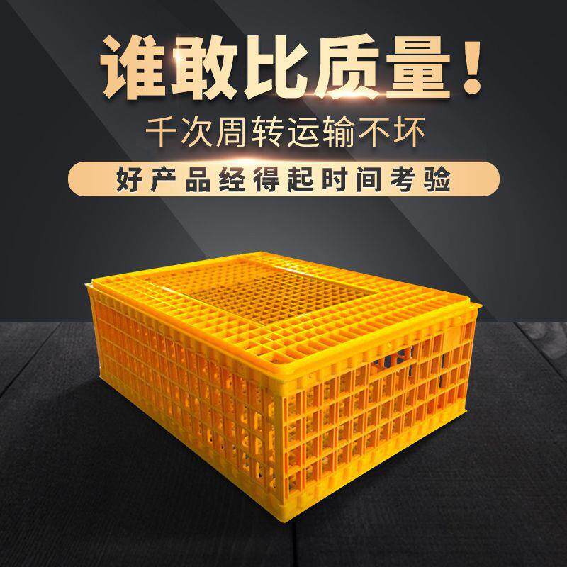 鸡笼塑料运家禽运QUW鸡笼子周转箱大笼号加厚鸡鸭鹅输鸽兔输方形