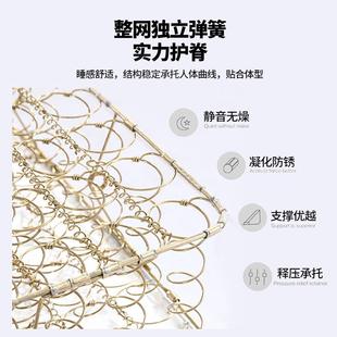 (顺织丰包邮)20厚25新款垫针弹簧床天然乳胶床339垫海绵加席梦