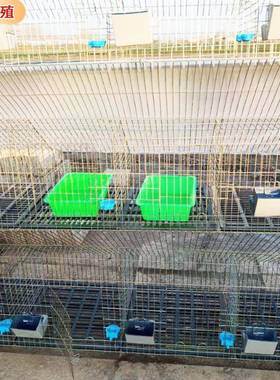 欧式兔笼厂家养殖9-12子母兔种兔欧号式笼加AWK粗加密位大欧式兔