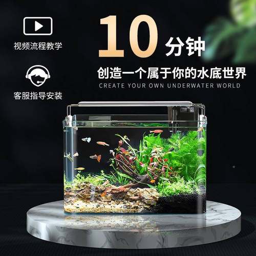 鱼缸景金全套弯玻璃造缸客厅小型桌面免换水生态草缸热NMN迷你鱼