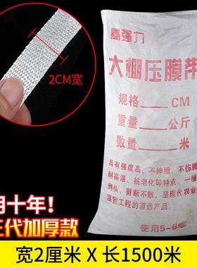 民丰尼牌温室风大棚压膜带工业龙白色CLW涤丝耐拉纶扯防压膜线扁