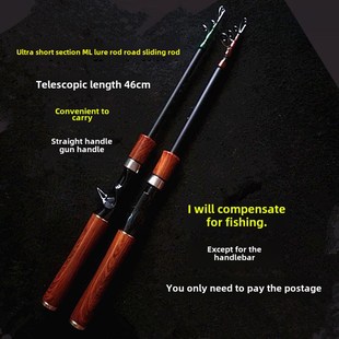 速发轻缩便携式超短直行枪柄超伸硬钓调路亚路滑冰钓抛海旅柄竿