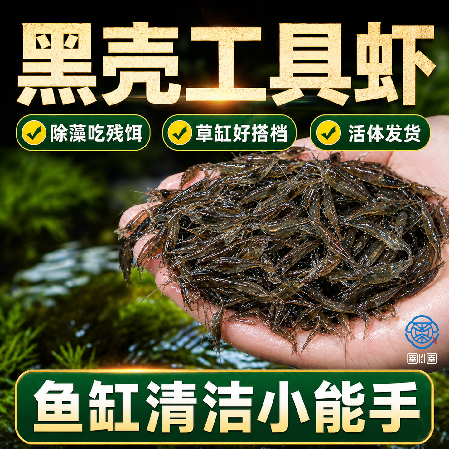 黑壳虾除藻虾鲜活观赏虾鱼缸清洁草虾饲料虾淡水工具虾好养耐活虾