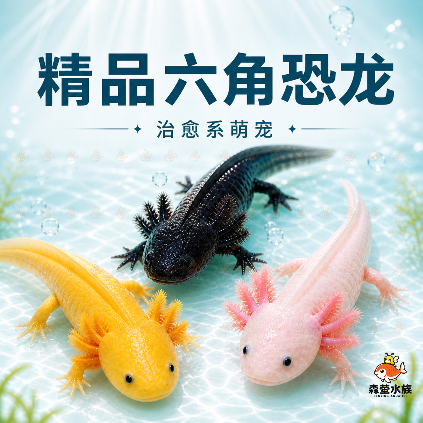 六角恐龙鱼冷水鱼观赏鱼蝾螈美西螈活体六角龙淡水好养易活宠物鱼