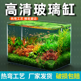 热弯玻璃鱼缸客厅小型水族箱桌面免换水金鱼斗鱼生态迷你鱼缸
