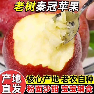 【新品】陕西秦冠苹果粉面沙甜新鲜可刮泥水果宝宝辅食老人当季y