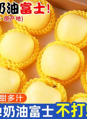 【源头直销】黄金奶油苹果新鲜当季脆甜脆汁白苹果富士4.5/9斤y