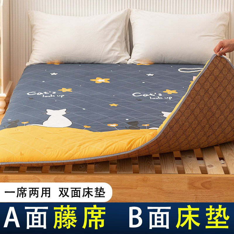 冬夏两用薄款榻榻米睡垫夏季冰丝凉席床垫子软垫学生宿舍单人家用