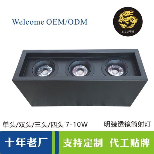 斗胆灯透镜led射灯  双头三头四头豆胆灯外壳套件10W筒灯射灯外壳