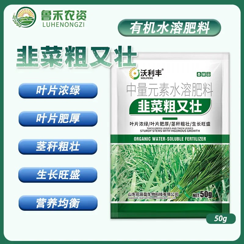 韭菜粗又壮黑又亮增绿o增粗增厚壮根抗倒伏黄叶干尖卷叶烂根叶面