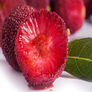 浙江深红杨梅苗特大特晚熟嫁接杨梅苗杨梅树苗南方北方种植