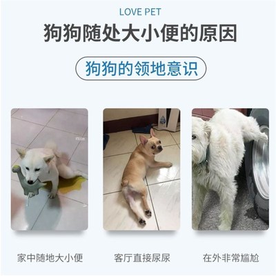 边牧狗狗上厕所诱导剂大小便定点排便入厕训厕液宠物幼犬用品