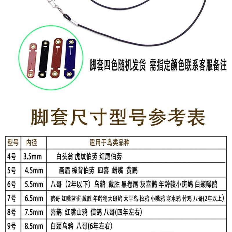 鸟用轻便放飞绳八哥鹩哥白颈乌鸦伯劳外出牵引遛鸟绳不伤脚绒皮脚