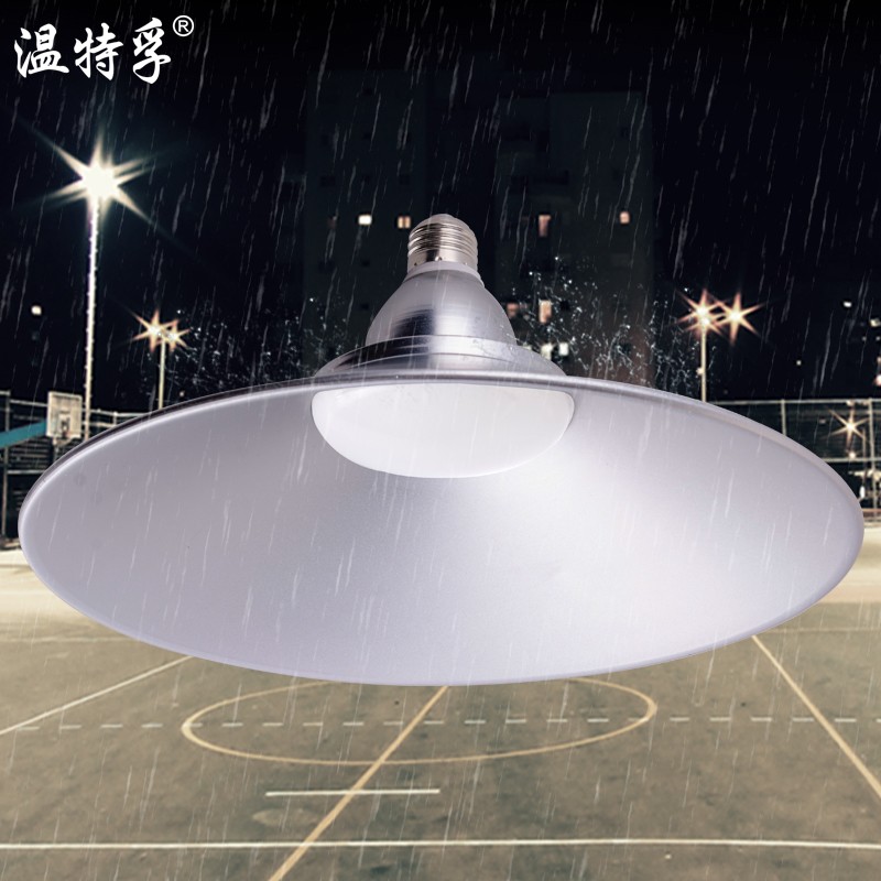 温特孚防水工矿灯led厂房车间吊灯50W羽毛球场户外工地工业照明灯