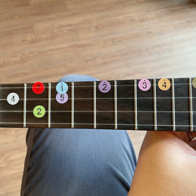 尤克里里音阶贴纸2张 古琴古筝吉他简谱速记标识弹doremi学琴好用