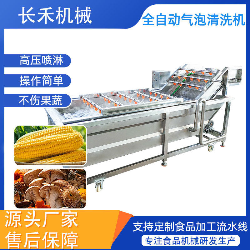 全自动果蔬气泡清洗机 酱菜料包清洗机 商用高压喷淋洗菜机