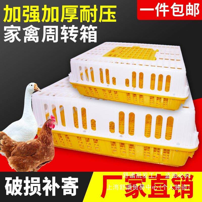鸡鸭长方形笼子家用塑料养殖漏粪周转箱网格加厚防摔运输笼框