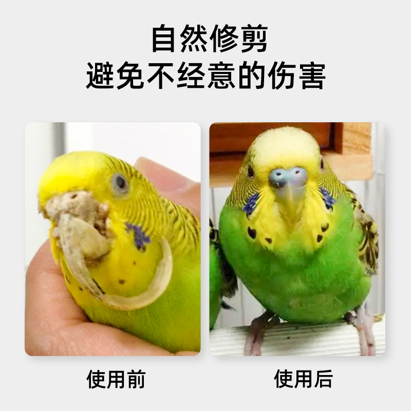 虎皮牡丹玄凤鹦鹉磨爪磨喙棒不锈钢磨砂站杆鸟笼站棍白色鹦鹉用品