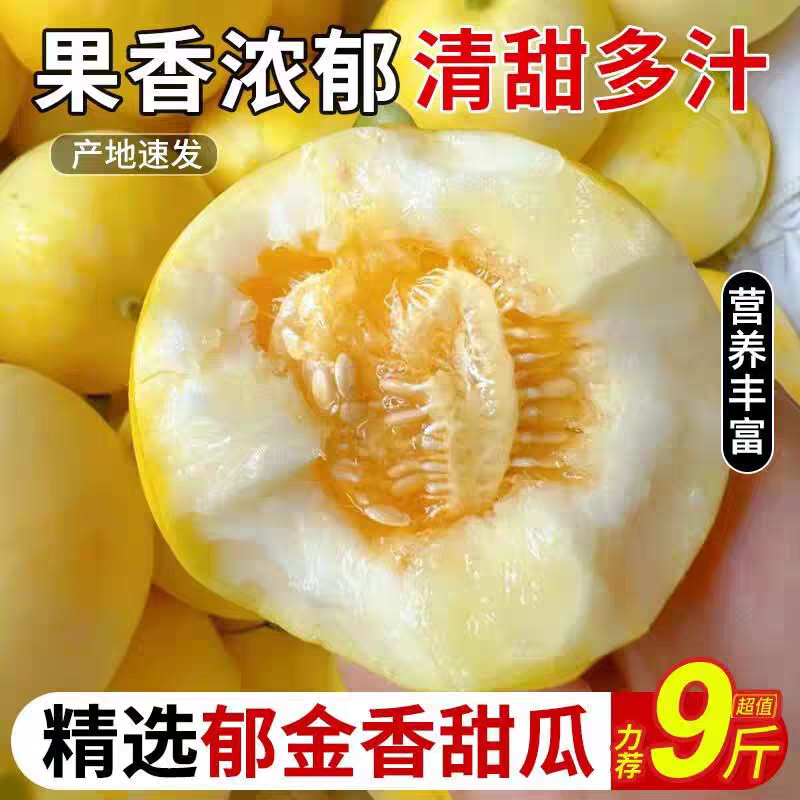 郁金香小甜瓜云南农家现摘新鲜应季水果蜜汁香瓜露天脆甜软糯5斤,水产肉类/新鲜蔬果/熟食,甜瓜,淘宝优惠券,粉丝福利购,淘宝优惠卷