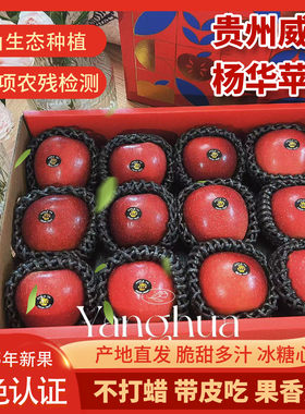 贵州威宁杨华苹果2025年新果高山生态种植脆甜多汁冰糖心不打蜡