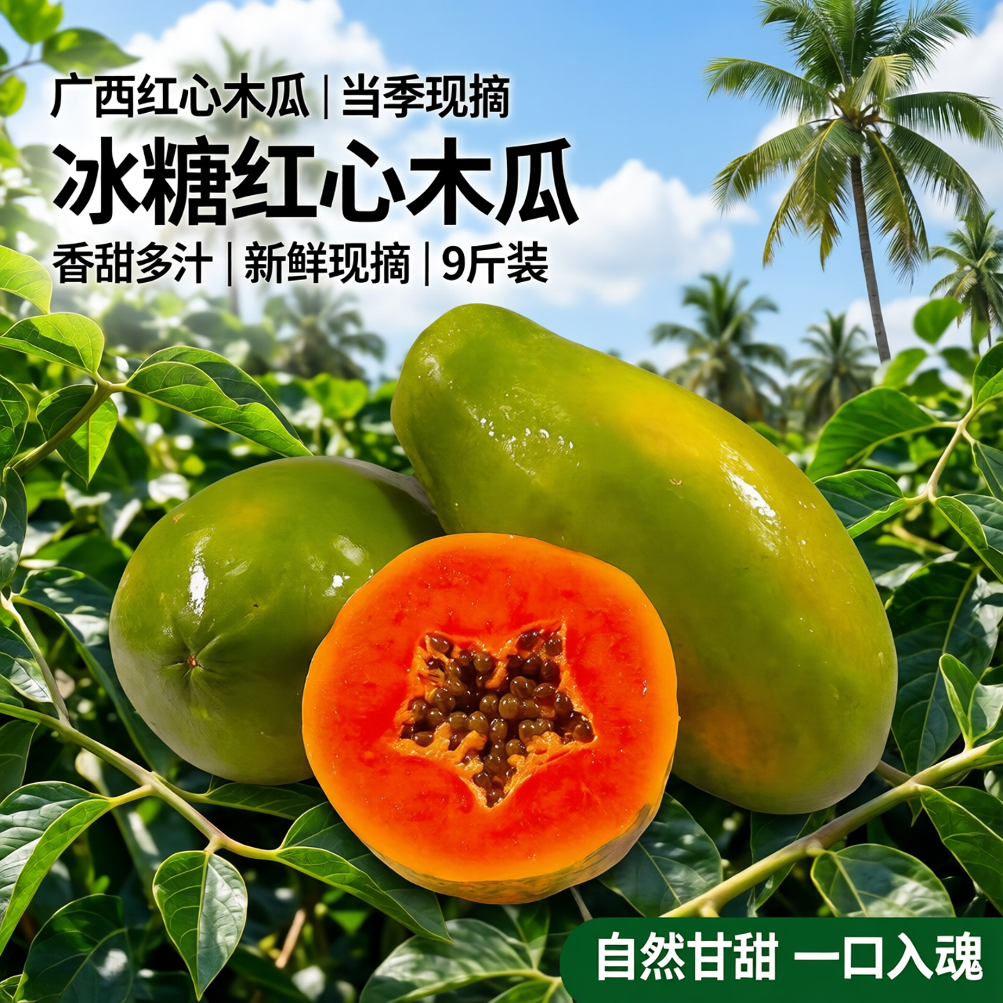 广西红心木瓜树上熟冰糖红心木瓜9斤装新鲜水果当季现摘香甜多汁