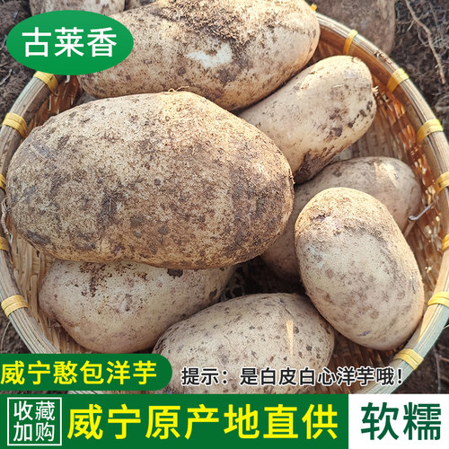 贵州威宁土豆秀水憨包洋芋白心
