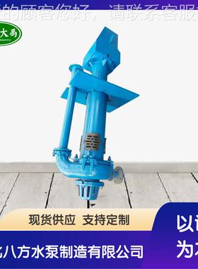 40PV-SP(R)立式液下渣浆泵65QV-SP(R)单双管加长轴抽沙沉淀池排淤