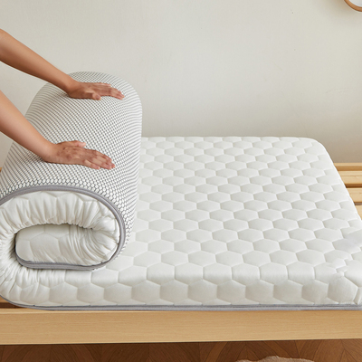 德国90x200宿舍床垫榻榻米软床垫