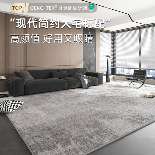 德国免洗可擦卧室地垫极简沙发毯