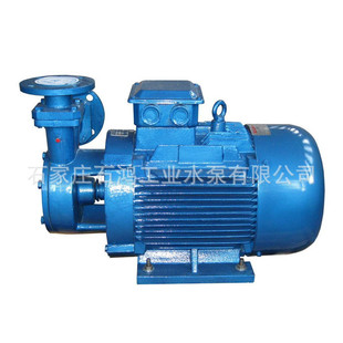 热销 W型联轴式旋涡泵  离心式旋涡泵 清水泵  高扬程旋涡泵