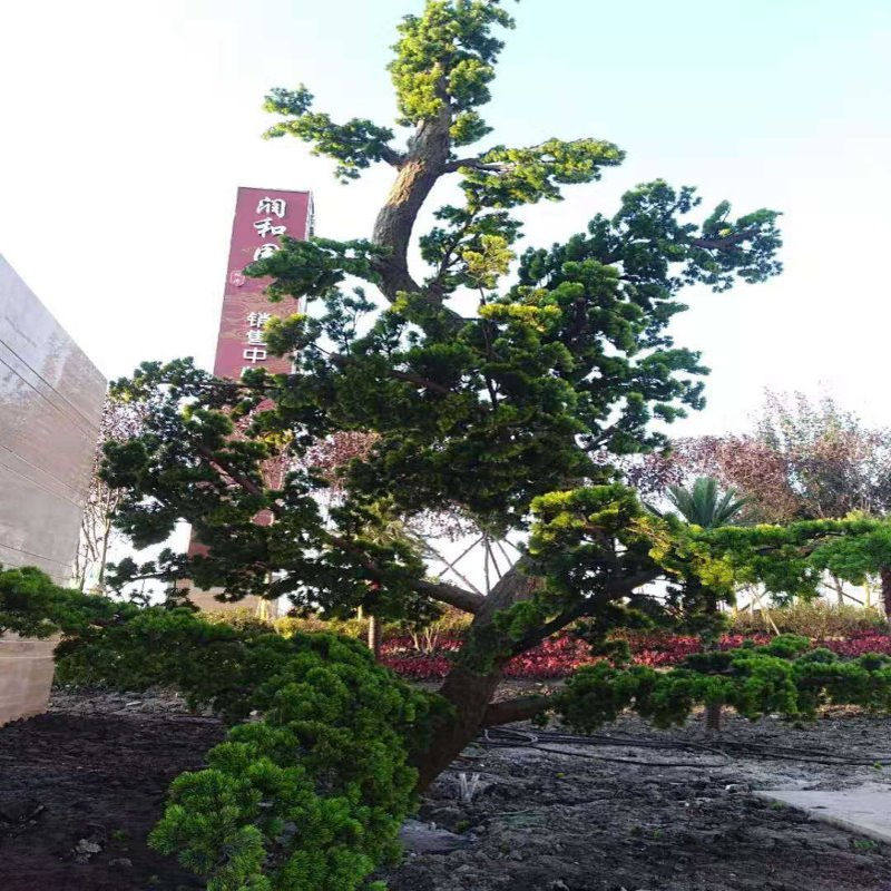 包柱子包水管仿真树皮室内外装饰仿真松树皮管道装饰遮挡墙面装饰