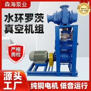 厂家直供罗茨水环真空机组冶金化工抽真空设备工业用水环真空机组